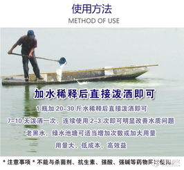 蝦塘水體渾濁原因分析與快速凈水技術(shù)全攻略